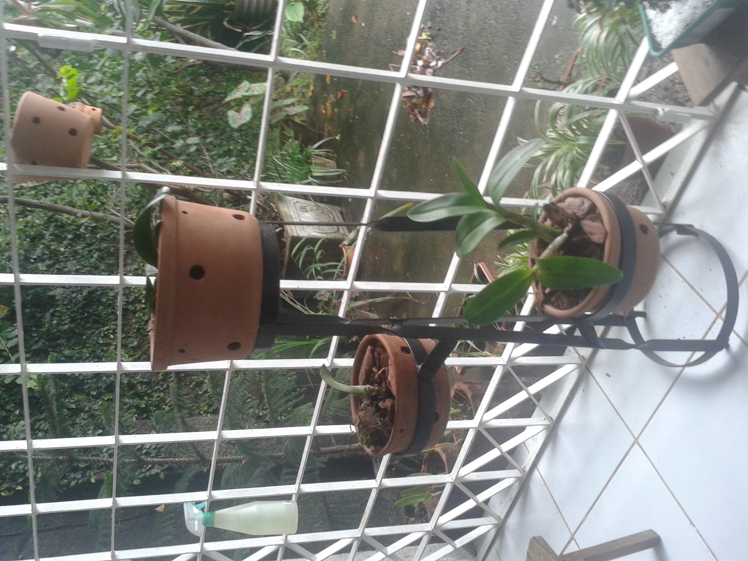 20160604_145827_Travessa do Rosário.jpg